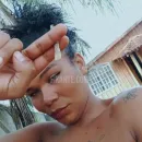 Imagem ou Vídeo