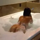 Imagem ou Vídeo
