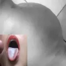 Imagem ou Vídeo