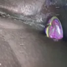 Foto profissional de Nega Paraense