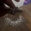 Imagem ou Vídeo