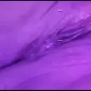 Imagem ou Vídeo
