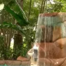 Imagem ou Vídeo