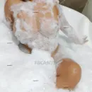 Imagem ou Vídeo