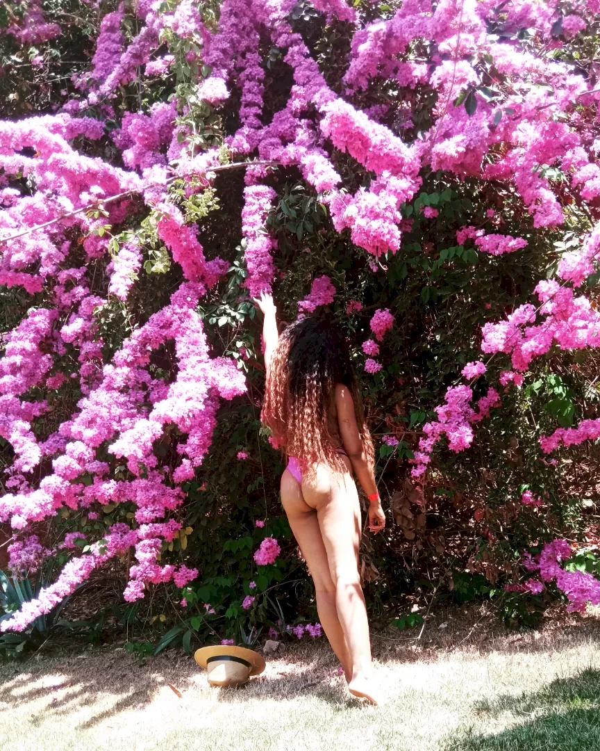 Lívia - foto no feed de Querência
