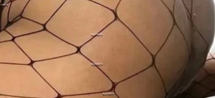 Foto profissional de Passivo guloso