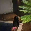 Imagem ou Vídeo