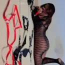 Imagem ou Vídeo