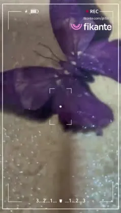 Imagem ou Vídeo