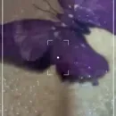 Imagem ou Vídeo