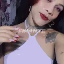 Imagem ou Vídeo