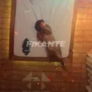 Imagem ou Vídeo