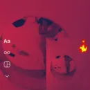 Imagem ou Vídeo