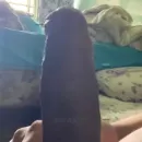 Imagem ou Vídeo