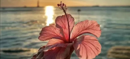Foto profissional de Loirinha sapeca