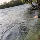Imagem ou Vídeo
