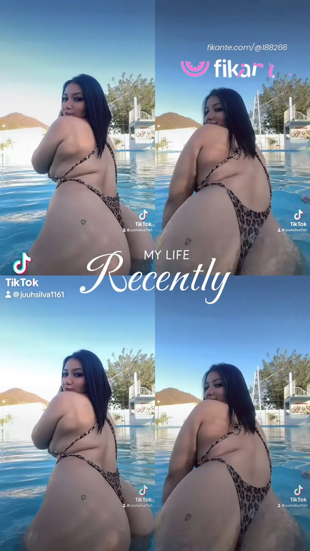 Imagem ou Vídeo