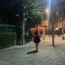 Imagem ou Vídeo