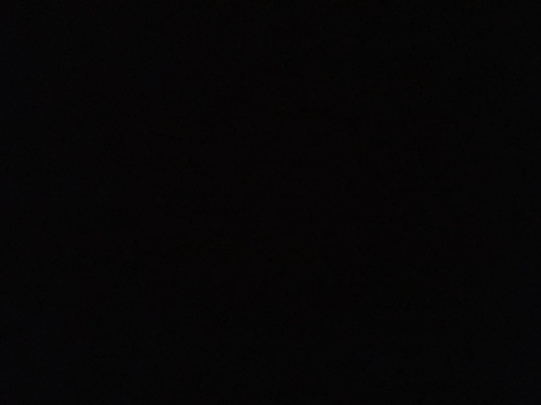 Foto profissional de Leticia