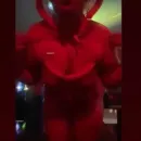 Imagem ou Vídeo