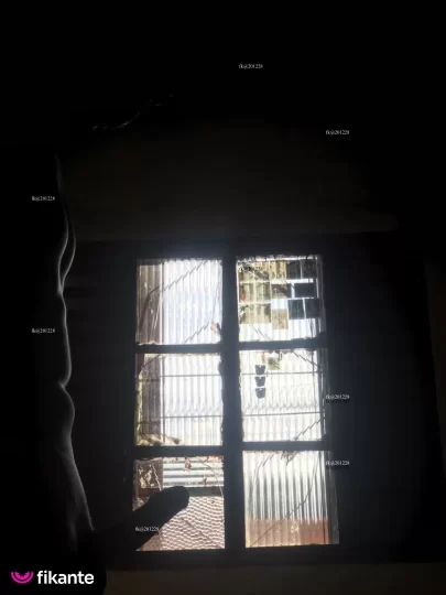 Imagem ou Vídeo