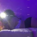 Imagem ou Vídeo