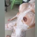Imagem ou Vídeo