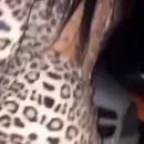 Imagem ou Vídeo