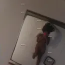 Imagem ou Vídeo