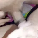 Imagem ou Vídeo