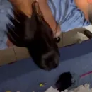 Imagem ou Vídeo