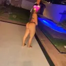 Imagem ou Vídeo