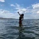 Imagem ou Vídeo