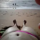 Imagem ou Vídeo
