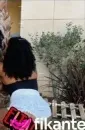 Imagem ou Vídeo