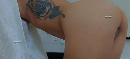 Foto profissional de shitara