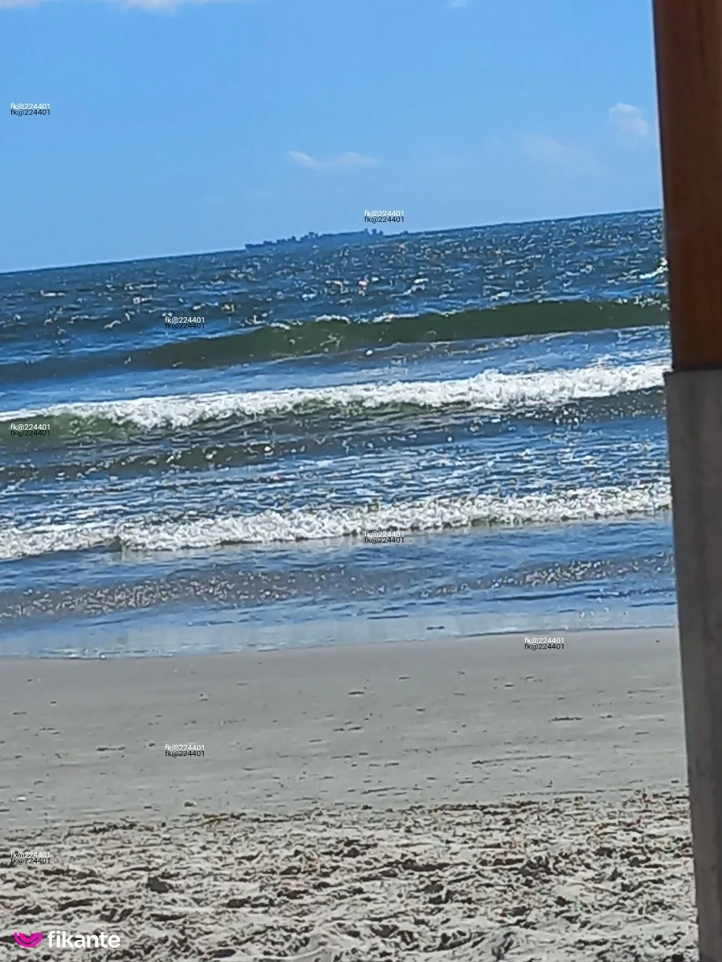 Paraguaya c Local