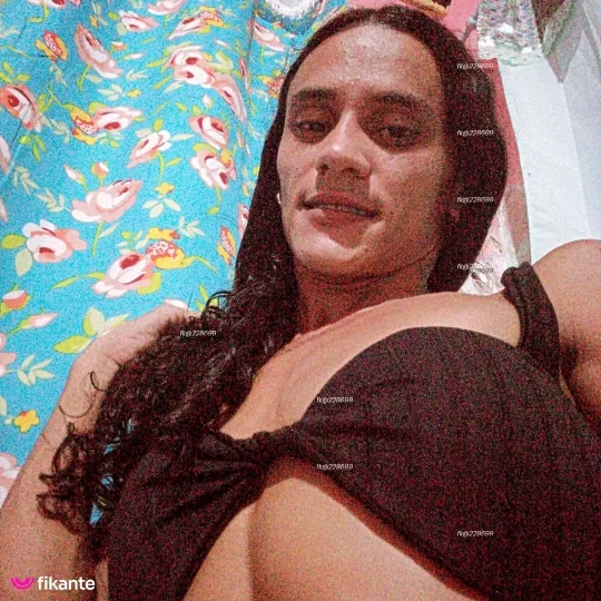 Imagem ou Vídeo