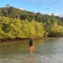 Imagem ou Vídeo
