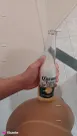 Foto profissional de Gatinha