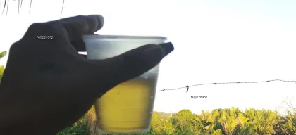 Foto profissional de Stella Silva