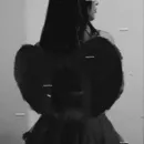 Imagem ou Vídeo