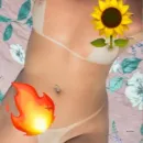 Imagem ou Vídeo