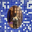 Imagem ou Vídeo