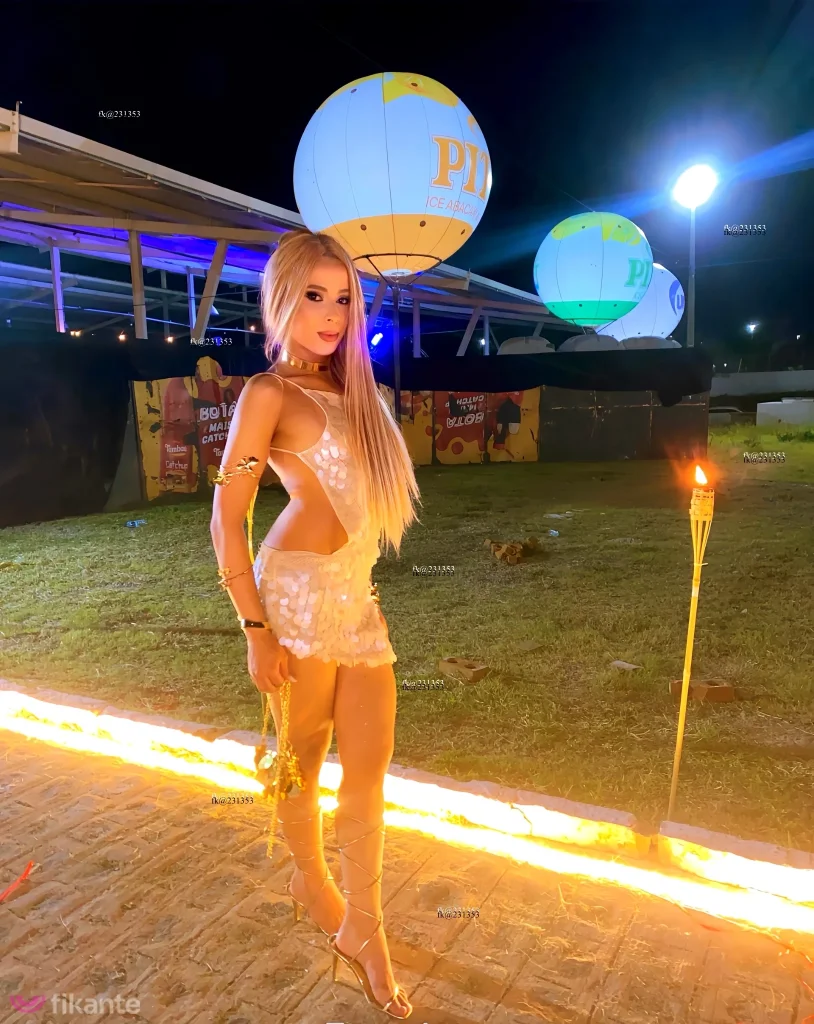 Imagem ou Vídeo