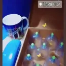 Imagem ou Vídeo