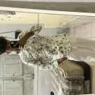 Foto profissional de Pedro Henrique
