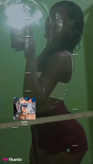 Imagem ou Vídeo