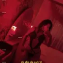 Imagem ou Vídeo
