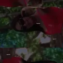 Imagem ou Vídeo